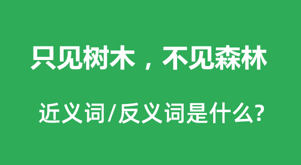 只见树木，不见丛林的近义词和反义词是甚么,只见树木，不见丛林是甚么意义