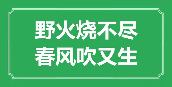 “野火烧不尽，春风吹又生”是甚么意义,来由是那里