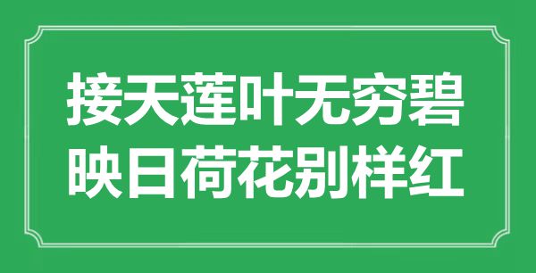““接天莲叶无限碧，映日荷花别样红”是甚么意义_来由是那里