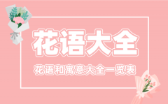 花语大全_各类花的花语和寄意大