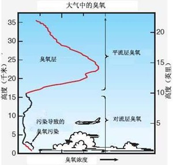 2022年国际臭氧层掩护日是几月几日,国际臭氧层掩护日是哪一天