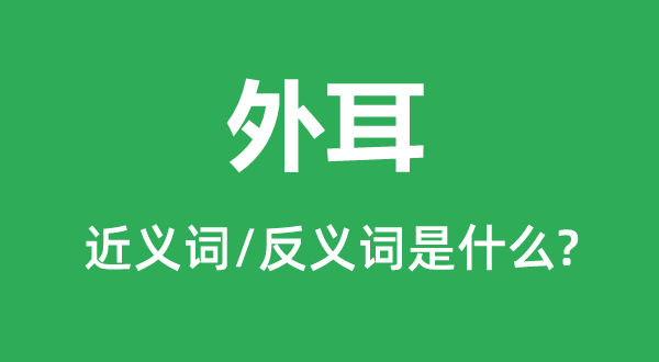 外耳的近义词和反义词是甚么,外耳是甚么意义