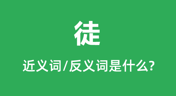 徒的近义词和反义词是甚么,徒是甚么意义