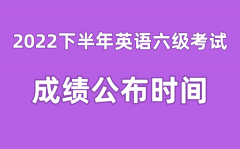 英语六级成就宣布的时辰20