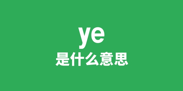 ye是甚么意义