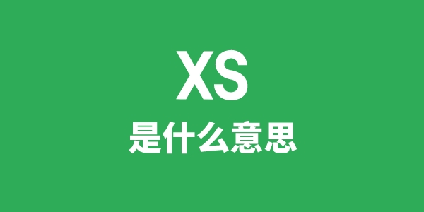 XS是甚么意义