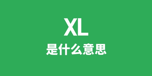 XL是甚么意义