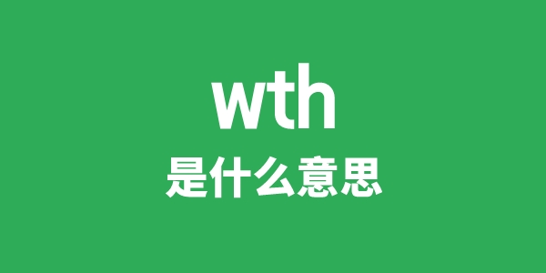 wth是甚么意义