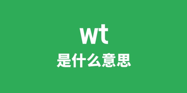 wt是甚么意义