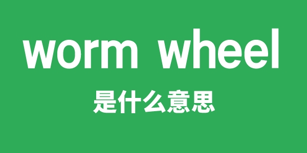 worm wheel是甚么意义