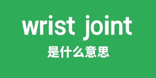 wrist joint是甚么意义