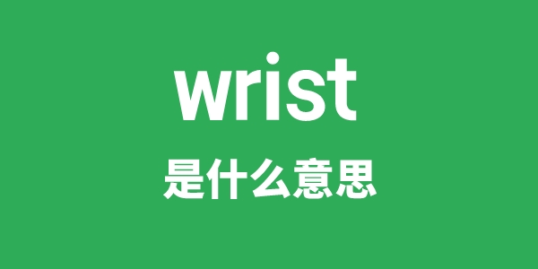 wrist是甚么意义