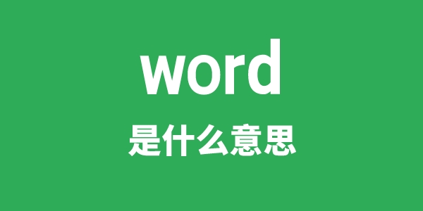 word是甚么意义