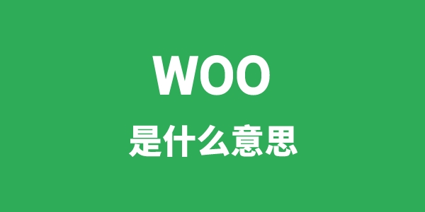 woo是甚么意义