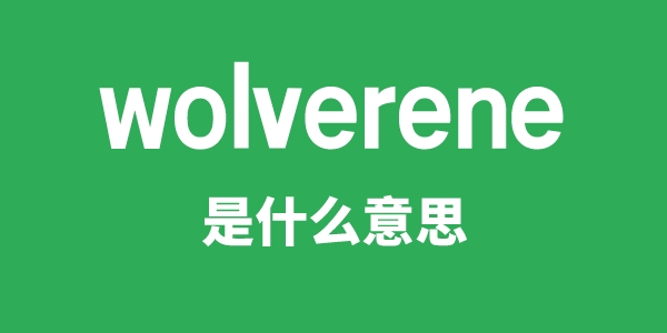 wolverene是甚么意义