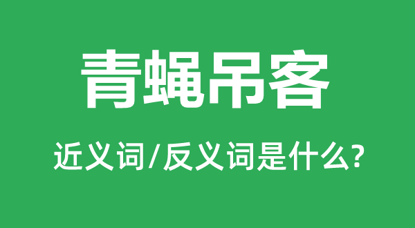 青蝇吊客的近义词和反义词是甚么,青蝇吊客是甚么意义