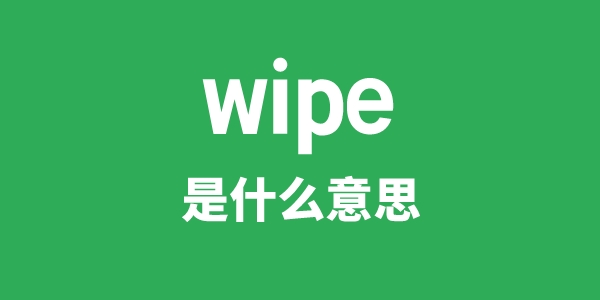 wipe是甚么意义