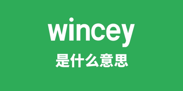 wincey是甚么意义