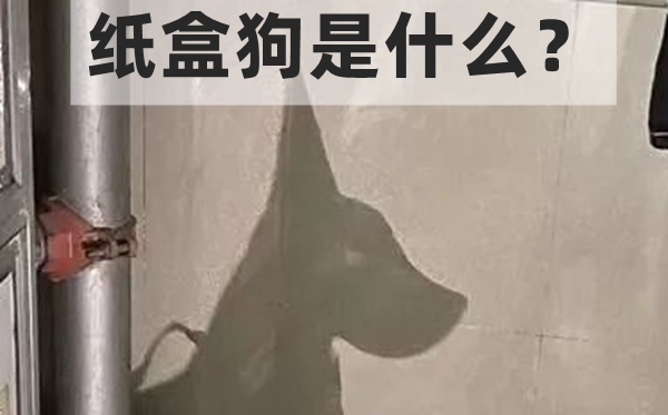 纸盒狗是甚么,怎样玩,纸盒狗的建造方式