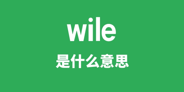 wile是甚么意义