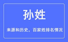 孙姓的来历和汗青_孙姓在百