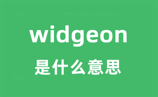 widgeon是甚么意义