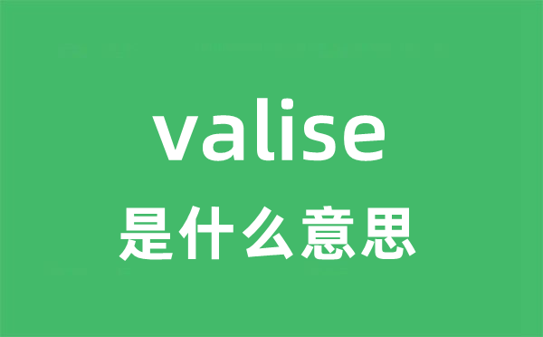 valise是甚么意义