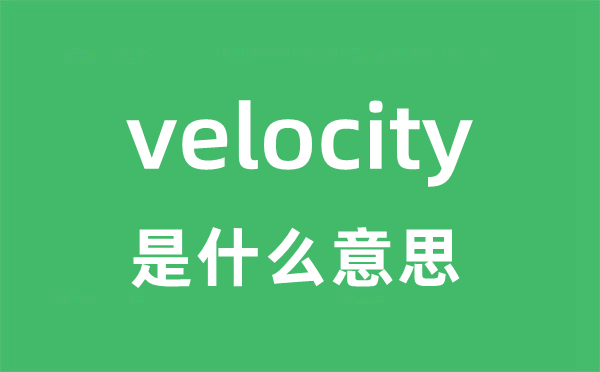 velocity是甚么意义