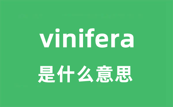 vinifera是甚么意义