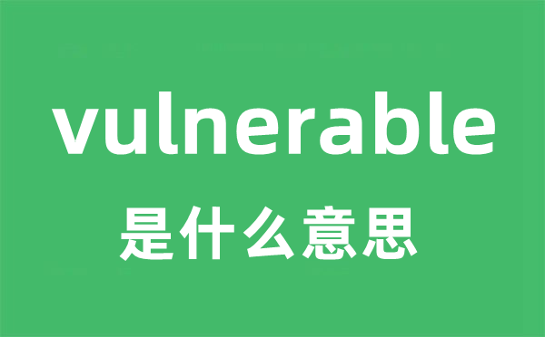 vulnerable是甚么意义