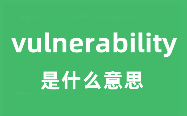 vulnerability是甚么意义