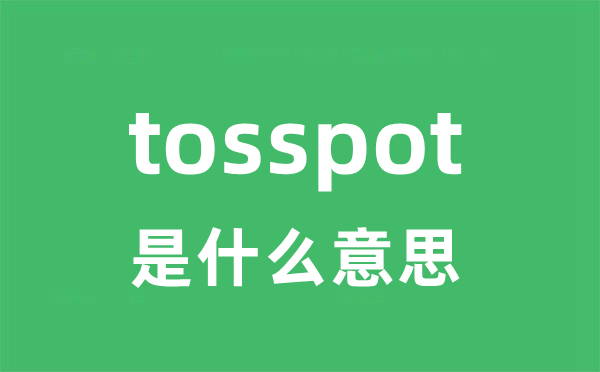 tosspot是甚么意义