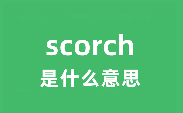 scorch是甚么意义