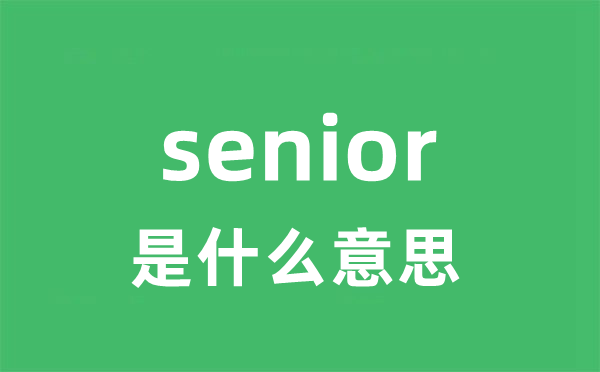 senior是甚么意义