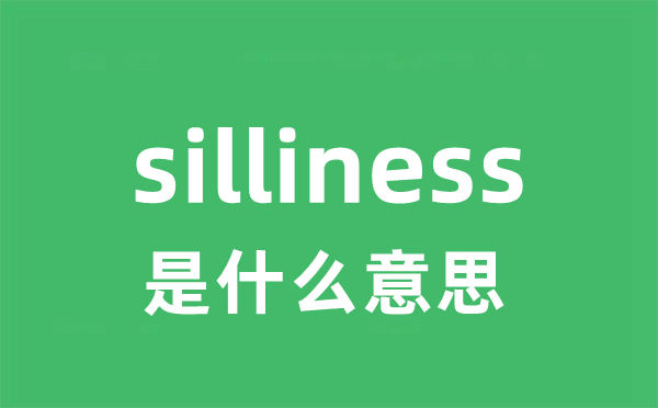 silliness是甚么意义