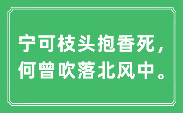 “宁肯枝头抱香死，何曾吹落北风中。”是甚么意义,来由及原文翻译