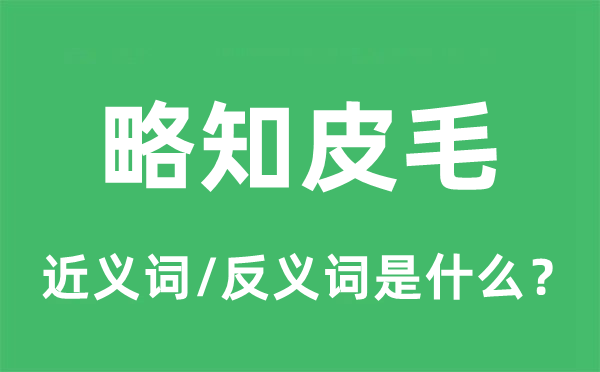 略知外相的近义词和反义词是甚么,略知外相是甚么意义