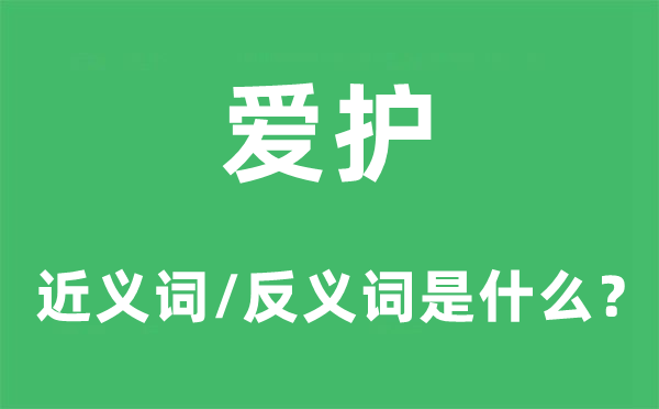 掩护的近义词和反义词是甚么,掩护是甚么意义