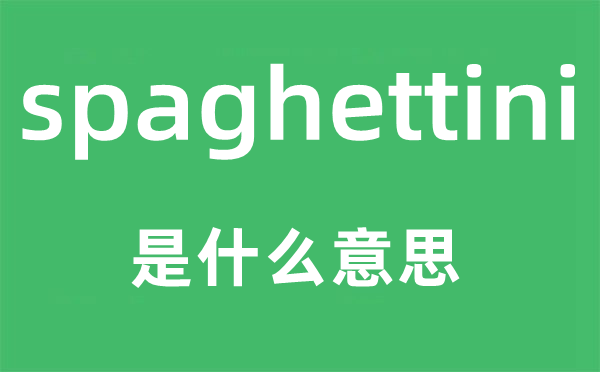 spaghettini是甚么意义,spaghettini怎样读,中文翻译是甚么
