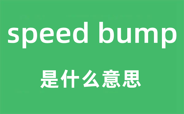 speed bump是甚么意义,中文翻译是甚么