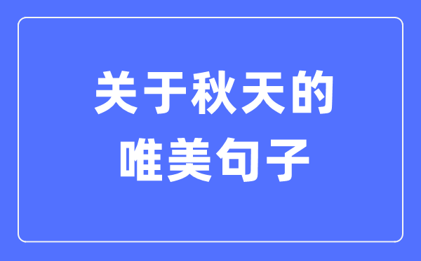 对秋季的唯美句子(精选1