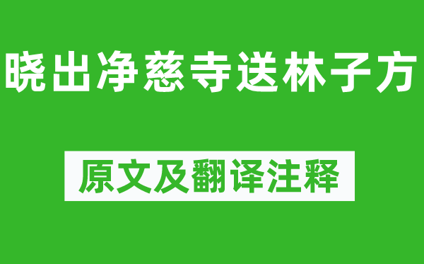杨万里《晓出净慈寺送林子方》原文及翻译正文,诗意诠释