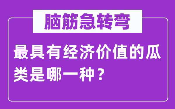 脑子急转弯：最具备经济代价的瓜类是哪种？