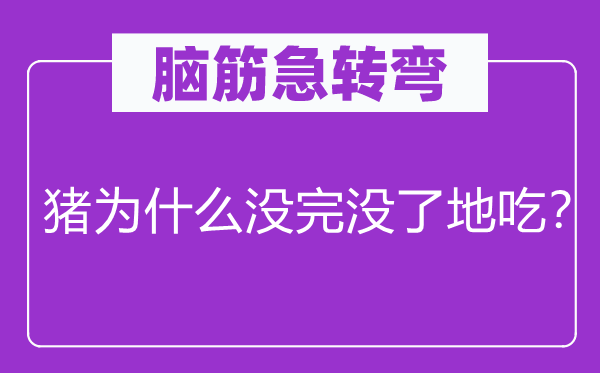 脑子急转弯：猪为甚么没完没了地吃？