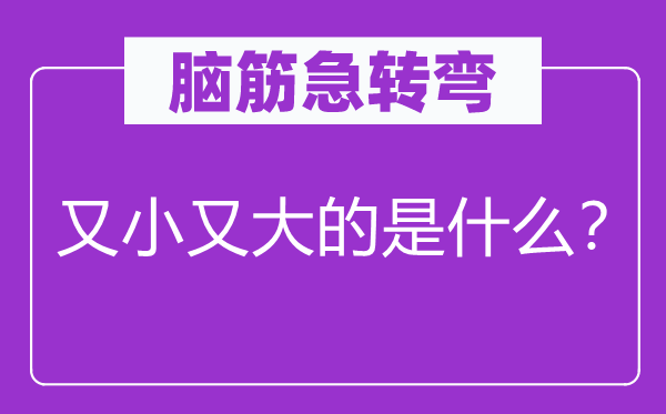 脑子急转弯：又小又大的是甚么？