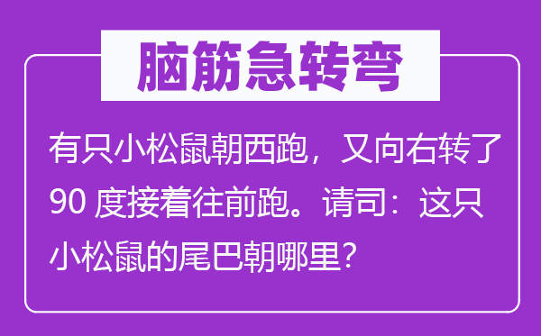 脑子急转弯：有只小松鼠朝西跑，又向右转了90度接着往前跑。请司：这只小松鼠的尾巴朝那里？