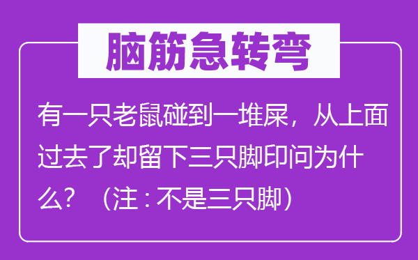 脑子急转弯：有一只老鼠碰着一堆屎，从上面曩昔了结留下三只足迹问为甚么？（注:不是三只脚）