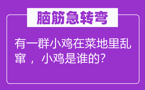 脑子急转弯：有一群小鸡在菜地里乱窜 ，小鸡是谁的？