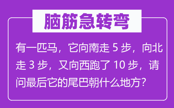 脑子急转弯：有一匹马，它向南走5步，向北走3步，又向西跑了10步，叨教最初它的尾巴朝甚么处所？