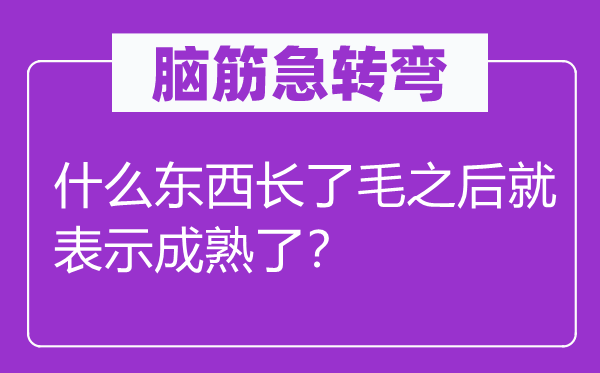 脑子急转弯：甚么东西长了毛以后就表现成熟了？